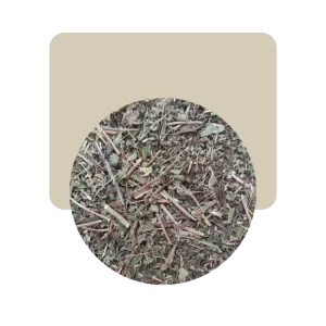 llanten hojas 50gr