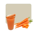 luzvida jugo orgánico de zanahoria 10 barritas