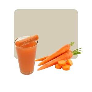 luzvida jugo orgánico de zanahoria 10 barritas