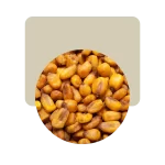 maiz crujiente queso 100gr