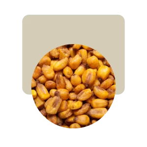 maiz crujiente queso 100gr