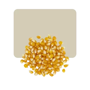 maiz pisado colorado 500gr