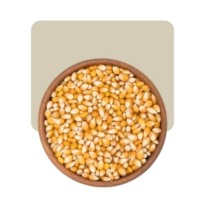 maiz pisingallo 500gr