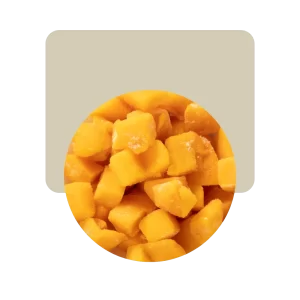 mango en cubos/rebanadas 100gr