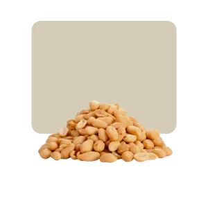 maní repelado tostado salado 100gr