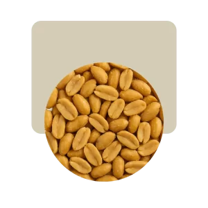 maní repelado tostado salado 1kg