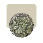 moringa 50gr