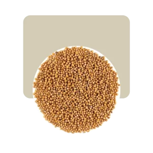 mostaza amarilla 100gr