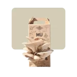 mu kit autocultivo de hongos