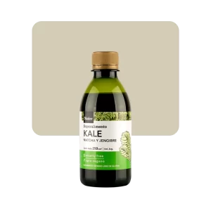 natier kale matcha y jengibre 250ml