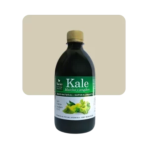 natier kale matcha y jengibre 500ml