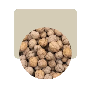 nuez con cáscara
