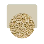 semillas de quinoa blanca prelavada 500gr