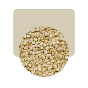 semillas de quinoa blanca prelavada 500gr