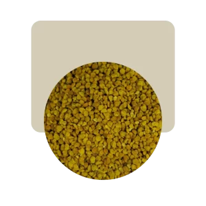 polen granulado 100gr