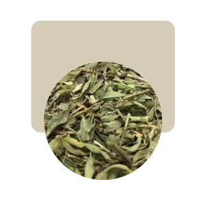 poleo hojas 50gr