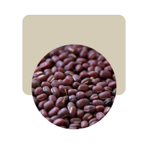 porotos aduki 500gr