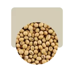 porotos de soja 500gr