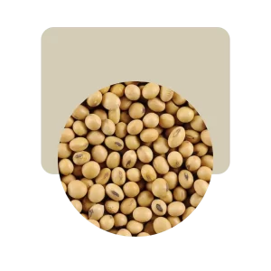 porotos de soja 500gr