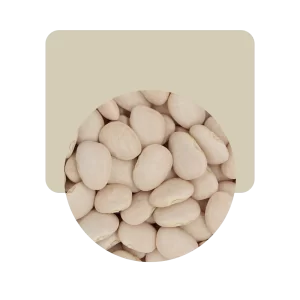 porotos manteca 500gr