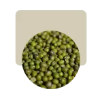 porotos mung 500gr
