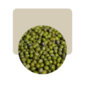 porotos mung 500gr