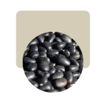 porotos negros 500gr