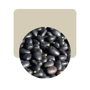porotos negros 500gr