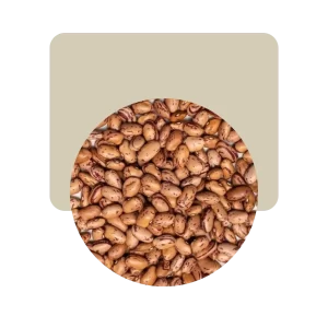 porotos regina 250gr