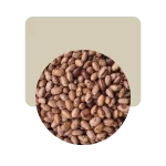 porotos regina 500gr