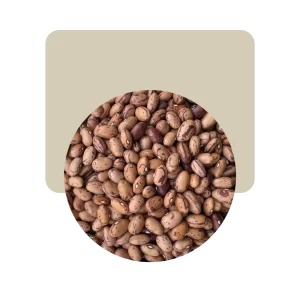 porotos regina 500gr