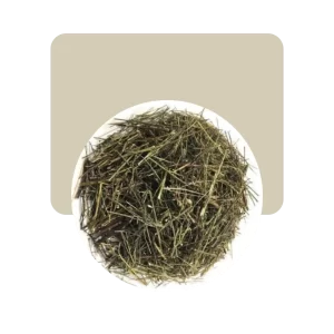 regaliz raiz 50gr