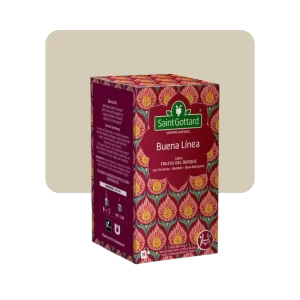 saint gottard buena linea frutos del bosque 20s