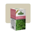 saint gottard te de moringa 20s