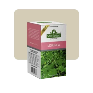 saint gottard te de moringa 20s