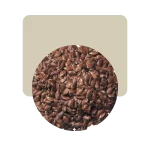 semillas de lino molido 500gr