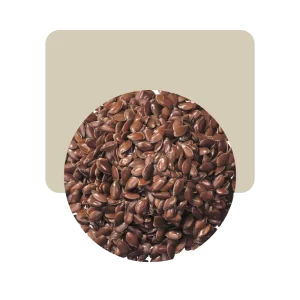 semillas de lino molido 500gr