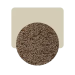 semillas de psyllium 100gr