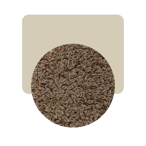 semillas de psyllium 100gr