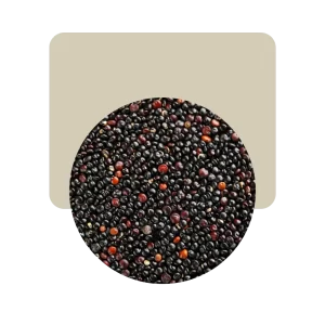 semillas de quinoa negra prelavada 200gr
