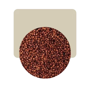 semillas de quinoa roja prelavada 100gr