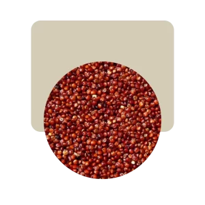 semillas de quinoa roja prelavada 200gr