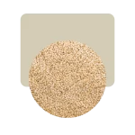sésamo blanco 200gr