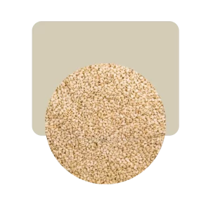 sésamo blanco 200gr