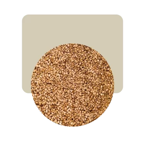 sésamo integral semillas 200gr