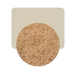 sésamo integral semillas 100gr