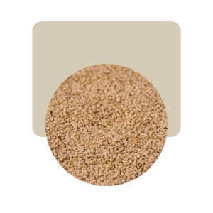 sésamo integral semillas 100gr