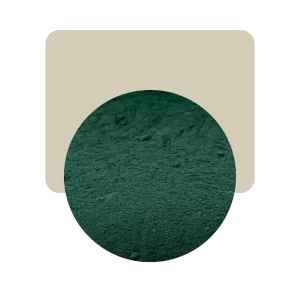 spirulina 100gr