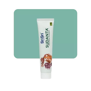 sri sri sudanta gel menta carbón 100gr