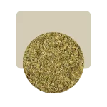 tomillo 50gr